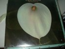 KILLER ORIG.SOUL FUNK THE SPENCER JACKSON FAMILY