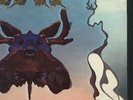 THE ZOO LP Presents Chocolate Moose SEALED PSYCH Orig