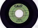 Rare Doo Wop 45 Rpm The Five Discs ADIOS On Calo