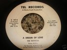 RARE DOO WOP 45/THE NUTMEGS ON TEL 