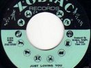 NORTHERN SOUL,           RUBY ANDREWS - JUST LOVING YOU