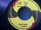 RARE*ROOTS REGGAE*I JAH MAN LEVI*MOULDING*PRE*EX-