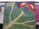 CATAPILLA-CHANGES