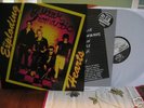 EXPLODING HEARTS  DISKORDS EPOXIES BRIEFS SPITS RAMONES