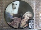 NIRVANA \ THE JESUS LIZARD 7