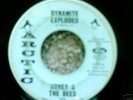 HONEY AND THE BEES ON ARTIC DYNAMITE EXPLODED