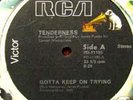 TENDERNESS  GOTTA KEEP ON TRYING  SOUL DISCO 12