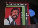 MIKE JAMES KIRKLAND Hang On In There BRYAN LP