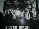 Silver Birch Folk LP 1974 Brayford Records Exc cond.