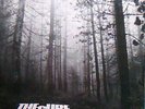 THE CURE FOREST RARE 12
