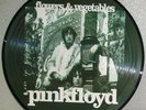 PINK FLOYD Flowers & Vegetables PICTURE DISC