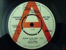 BLOWIN IN THE WIND - STEVIE WONDER TMG 570 DEMO 1966