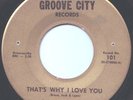 Rare Northern Soul The Professionals Groove City