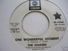 THE SHAKERS - ONE WONDERFUL MOMENT - ABC DEMO