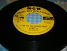NORTHERN SOUL 45 MAMIE LEE MGM 13850 PROMO SLIPPING