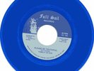 RARE NORTHERN / MODERN SOUL 45  FAMILY OF EVE (LISTEN)