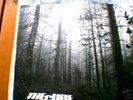 The Cure-A Forest***VERY RARE 