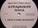 Undaground flava - What's your function..RARE INDIE...