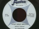 MICHIGAN Garage 45-THE PENETRATERS-What Went Wrong-FENT