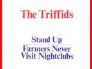 * * THE TRIFFIDS - STAND UP - FIRST SINGLE (MINT) * *