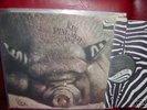 PROG.PSYCH. KIN PING MEH NO. 2 ORG. ZEBRA 1972