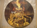 SEPULTURA   ARISE  Picture pic disc  12