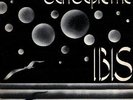IBIS - SUN SUPREME - RARE ITALIAN PROG LP UNPLAYED 