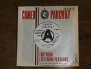 NORTHERN SOUL RARE BRITISH EVIE SANDS CAMEO  DEMO