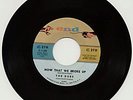 THE DUBS - NOW THAT WE BROKE UP  (45)  (END) 1961  RARE