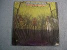 AMERICAN BLUES DO THEIR THING PRE ZZ TOP UNI PSYCH LP