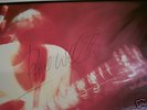 PAUL WELLER WILD WOOD ORIGINAL SIGNED LP OBTAINED PERSO