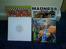 MADNESS 4 x 12