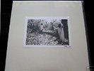 SUNN O))) WHITE BOX SEALED boris/khanate/ocean/earth LP