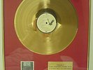 BIG COUNTRY Genuine Framed Gold Disc For THE SEER 