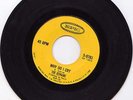 The  Remains Why Do I Cry  -bw- My Babe Epic  Garage 45