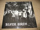 silver birch folk lp brayford record private press1974
