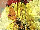 jeanne mas new album 2006 remix flowers(mylene, alizee)