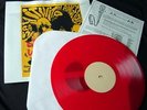 GUIDED BY VOICES Orig Tonics & Twisted Chasers LP