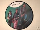 STRAY CATS  