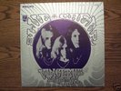 BLUE CHEER VINCEBUS ERUPTUM 1ST PRESSING RARE COVER
