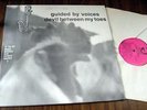 GUIDED BY VOICES Orig 1987 LP  Devil Between My Toes 