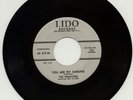 THE CREATIONS - YOU ARE MY DARLING (45)(LIDO)1956 RARE