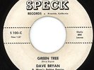 RARE ROCKABILLY 45 ON SPECK DAVE BRYAN LISTEN