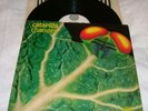 CATAPILLA--CHANGES-UK -VERTIGO SWIRL-ORIGINAL-