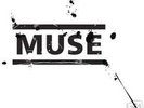Muse concert paris le 23 juin pelouse