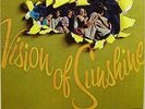 VISION OF SUNSHINE s/t stereo lp MINT- pop psych