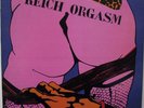 REICH ORGASM rare Oi skinhead lp EVILSKINS TEMPLARS