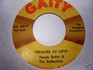 HOWIE BUTLER Mn. Garage 45 On Gaity Treasure of Love