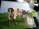 Pink Floyd Atom Heart Mother 1G UK NO E M I/Harvest 