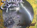 GRATEFUL DEAD - DARK STAR - PROMO COPY